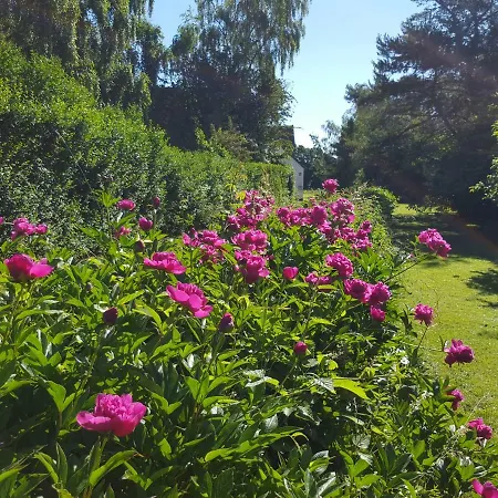 Farm stay Cosy Single Bedroom Stege